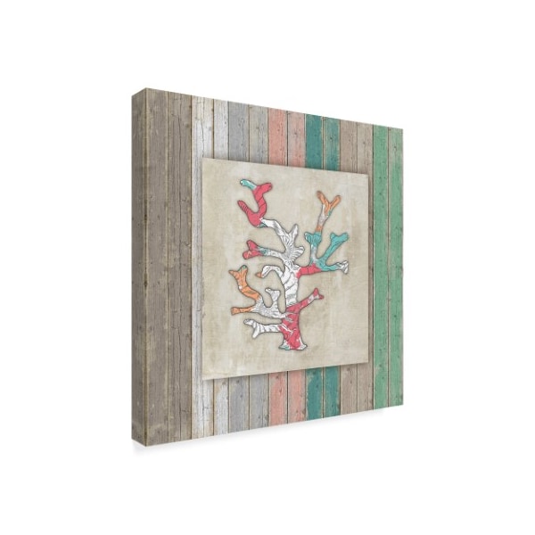 Lightboxjournal 'Wood Frame Coral' Canvas Art,24x24